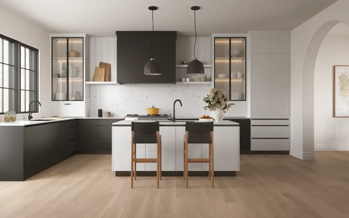 Matte Jet Black kitchen